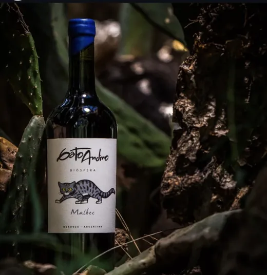 Gato Andino Malbec entre plantas del monte, de noche